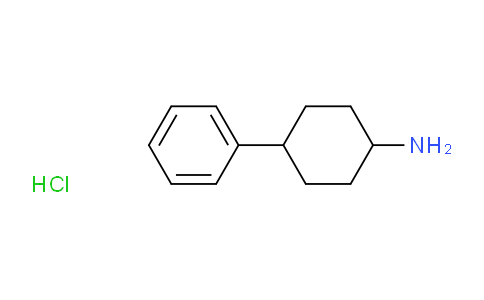 40504-25-4 | 4-Phenylcyclohexan-1-amine hydrochloride