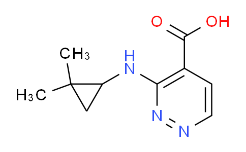 1539745-10-2 | 3-[(2,2-dimethylcyclopropyl)amino]pyridazine-4-carboxylic acid