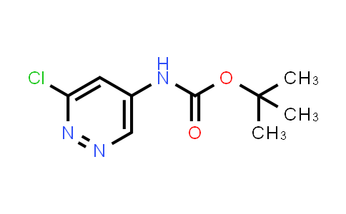 CAS No. 1416146-92-3, N-(6-氯哒嗪-4-基)氨基甲酸叔丁酯