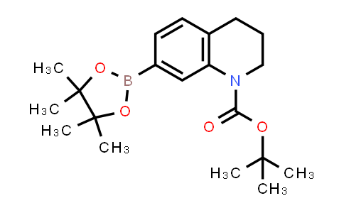 1235141-58-8 | tert-Butyl 7-(4,4,5,5-tetramethyl-1,3,2-dioxaborolan-2-yl)-3,4-dihydroquinoline-1(2H)-carboxylate