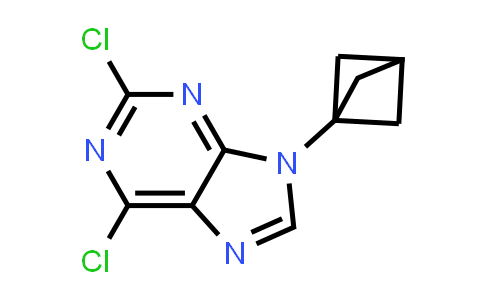 MC831883 | 2044268-95-1 | 9-(双环[1.1.1]戊烷-1-基)-2,6-二氯-9H-嘌呤