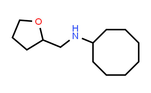 869944-85-4 | N-((四氢呋喃-2-基)甲基)环辛胺