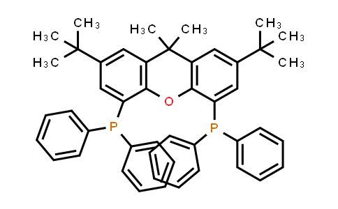 MC836860 | 221462-97-1 | (2,7-Di-tert-butyl-9,9-dimethyl-9H-xanthene-4,5-diyl)bis(diphenylphosphine)