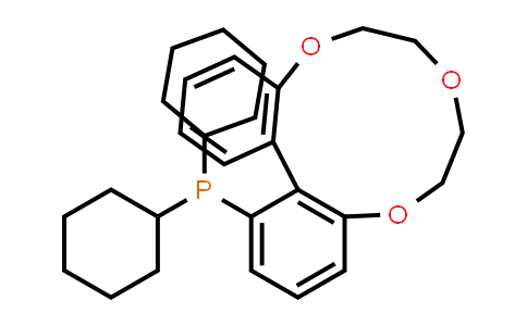 1256169-98-8 | Dicyclohexyl(6,7,9,10-tetrahydrodibenzo[h,j][1,4,7]trioxacycloundecin-1-yl)phosphine
