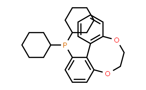 1256169-95-5 | Dicyclohexyl(6,7-dihydrodibenzo[e,g][1,4]dioxocin-1-yl)phosphine
