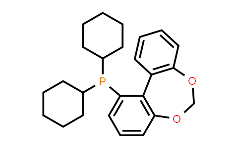 1256170-06-5 | Dicyclohexyldibenzo[d,f][1,3]dioxepin-1-ylphosphine