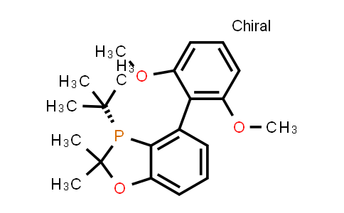 2634687-73-1 | (R)-3-(tert-Butyl)-4-(2,6-dimethoxyphenyl)-2,2-dimethyl-2,3-dihydrobenzo[d][1,3]oxaphosphole