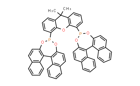 349114-63-2 | (11bR,11′bR)-4,4′-(9,9-Dimethyl-9H-xanthene-4,5-diyl)bis[dinaphtho[2,1-d:1′,2′-f][1,3,2]dioxaphosphepin]