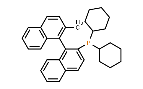 255882-17-8 | Dicyclohexyl(2'-methyl-[1,1'-binaphthalen]-2-yl)phosphine