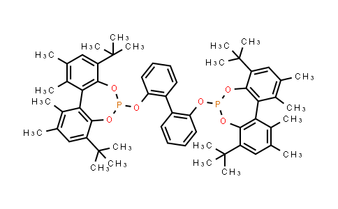 MC837376 | 729572-33-2 | 4,8-Ditert-butyl-6-[2-[2-(4,8-ditert-butyl-1,2,10,11-tetramethylbenzo[d][1,3,2]benzodioxaphosphepin-6-yl)phenyl]phenyl]-1,2,10,11-tetramethylbenzo[d][1,3,2]benzodioxaphosphepine