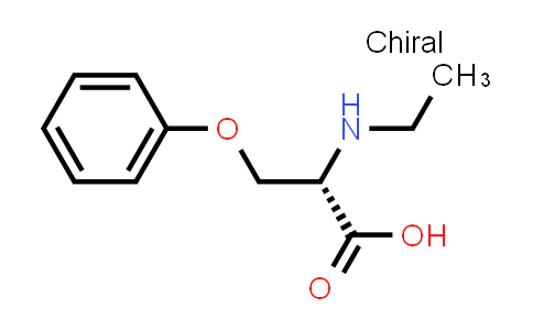 1526810-94-5 | N-ethyl-O-phenyl-L-serine