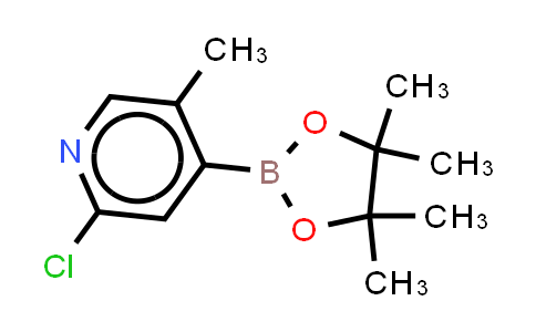 CAS No. 2377609-79-3, 2-クロロ-5-メチル-4-(4,4,5,5-テトラメチル-1,3,2-ジオキサボロラン-2-イル)ピリジン