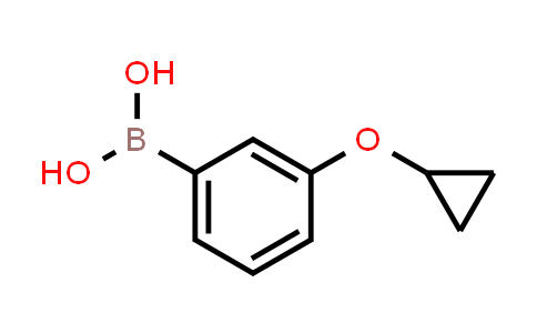 808140-97-8 | [3-(cyclopropoxy)phenyl]boronic acid