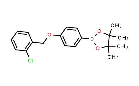 854371-84-9 | 2-[4-[(2-chlorophenyl)methoxy]phenyl]-4,4,5,5-tetramethyl-1,3,2-dioxaborolane