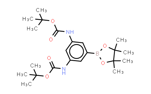 443753-62-6 | tert-butyl N-[3-(tert-butoxycarbonylamino)-5-(4,4,5,5-tetramethyl-1,3,2-dioxaborolan-2-yl)phenyl]carbamate