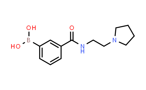 957103-96-7 | [3-(2-pyrrolidin-1-ylethylcarbamoyl)phenyl]boronic acid