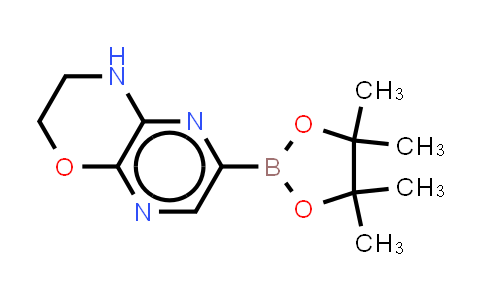 2751661-12-6 | 6-(4,4,5,5-tetramethyl-1,3,2-dioxaborolan-2-yl)-3,4-dihydro-2H-pyrazino[2,3-b][1,4]oxazine