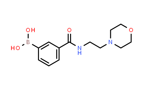 MC842416 | 957103-92-3 | [3-(2-morpholinoethylcarbamoyl)phenyl]boronic acid