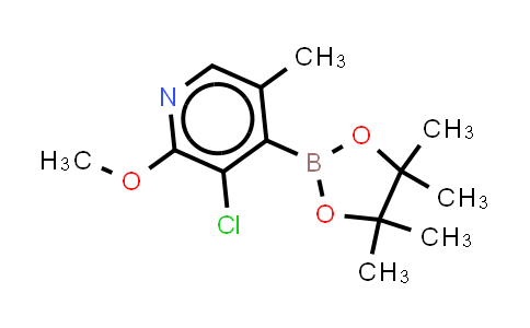 MC842472 | 2641339-72-0 | 3-chloro-2-methoxy-5-methyl-4-(4,4,5,5-tetramethyl-1,3,2-dioxaborolan-2-yl)pyridine