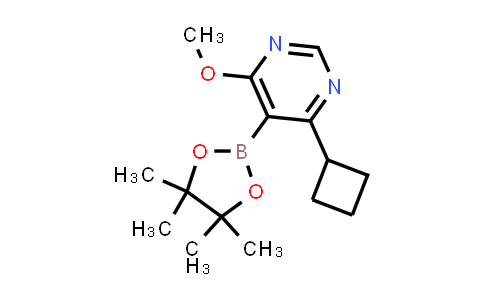 2750602-26-5 | 4-cyclobutyl-6-methoxy-5-(4,4,5,5-tetramethyl-1,3,2-dioxaborolan-2-yl)pyrimidine