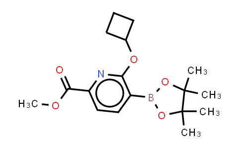 2555021-27-5 | methyl 6-(cyclobutoxy)-5-(4,4,5,5-tetramethyl-1,3,2-dioxaborolan-2-yl)pyridine-2-carboxylate