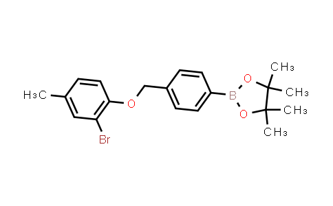 DY843713 | 2246670-56-2 | 2-[4-[(2-bromo-4-methyl-phenoxy)methyl]phenyl]-4,4,5,5-tetramethyl-1,3,2-dioxaborolane
