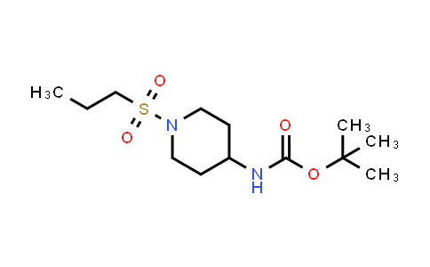 651056-54-1 | tert-butyl N-[1-(propane-1-sulfonyl)piperidin-4-yl]carbamate