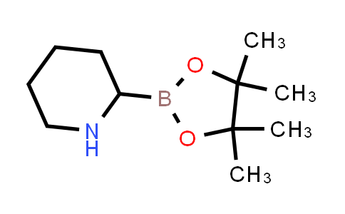 812630-69-6 | 2-(4,4,5,5-tetramethyl-1,3,2-dioxaborolan-2-yl)piperidine