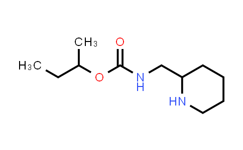 2303733-70-0 | butan-2-yl N-[(piperidin-2-yl)methyl]carbamate
