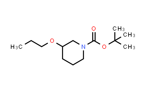 1482230-42-1 | tert-butyl 3-propoxypiperidine-1-carboxylate