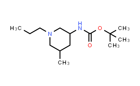 CAS No. 1550952-11-8, tert-butyl N-(5-methyl-1-propylpiperidin-3-yl)carbamate