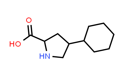 1219214-76-2 | 4-cyclohexylpyrrolidine-2-carboxylic acid