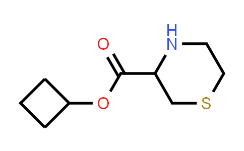 1564801-62-2 | cyclobutyl thiomorpholine-3-carboxylate