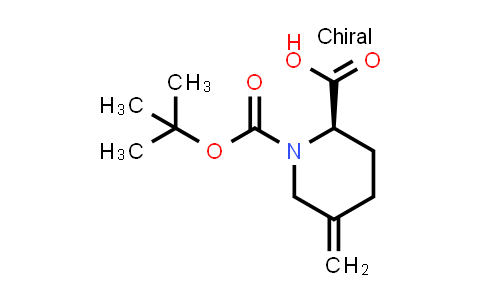 2382241-80-5 | (2R)-1-tert-butoxycarbonyl-5-methylene-piperidine-2-carboxylic acid