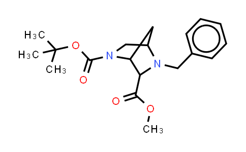 2385258-82-0 | O2-tert-butyl O6-methyl 5-benzyl-2,5-diazabicyclo[2.2.1]heptane-2,6-dicarboxylate