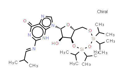 CAS No. 2940859-38-9, 9-[(6aR,8R,9R,9aS)-9-hydroxy-2,2,4,4-tetraisopropyl-6a,8,9,9a-tetrahydro-6H-furo[3,2-f][1,3,5,2,4]trioxadisilocin-8-yl]-2-[(E)-2-methylpropylideneamino]-3H-purin-6-one