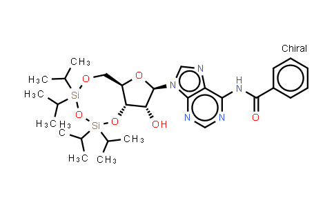 DY851437 | 79154-57-7 | N-[9-[(6aR,8R,9R,9aS)-9-hydroxy-2,2,4,4-tetraisopropyl-6a,8,9,9a-tetrahydro-6H-furo[3,2-f][1,3,5,2,4]trioxadisilocin-8-yl]purin-6-yl]benzamide