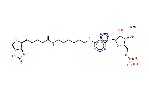 DY851450 | 689279-71-8 | [(2R,3S,4R,5R)-5-[6-[6-[5-[(3aS,4S,6aR)-2-oxo-1,3,3a,4,6,6a-hexahydrothieno[3,4-d]imidazol-4-yl]pentanoylamino]hexylamino]purin-9-yl]-3,4-dihydroxy-tetrahydrofuran-2-yl]methyl dihydrogen phosphate