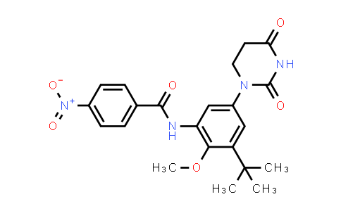 1132941-83-3 | N-[3-tert-butyl-5-(2,4-dioxohexahydropyrimidin-1-yl)-2-methoxy-phenyl]-4-nitro-benzamide