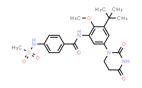 1132935-86-4 | N-[3-tert-butyl-5-(2,4-dioxohexahydropyrimidin-1-yl)-2-methoxy-phenyl]-4-(methanesulfonamido)benzamide