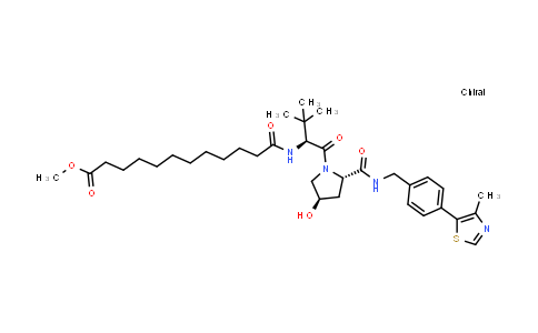 2357115-08-1 | methyl 12-[[(1S)-1-[(2S,4R)-4-hydroxy-2-[[4-(4-methylthiazol-5-yl)phenyl]methylcarbamoyl]pyrrolidine-1-carbonyl]-2,2-dimethyl-propyl]amino]-12-oxo-dodecanoate
