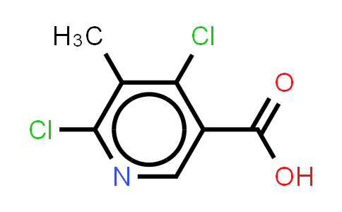 252552-12-8 | 4,6-dichloro-5-methyl-pyridine-3-carboxylic acid
