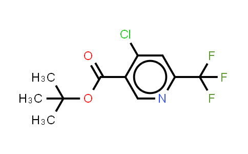 MC858820 | 2206752-25-0 | tert-butyl 4-chloro-6-(trifluoromethyl)pyridine-3-carboxylate