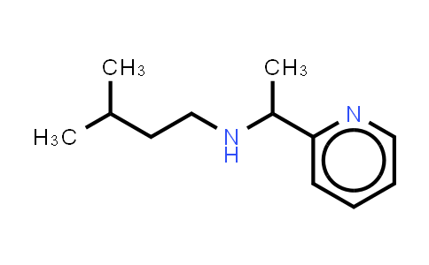 1021065-62-2 | (3-methylbutyl)[1-(pyridin-2-yl)ethyl]amine
