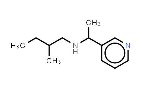 1042583-91-4 | (2-methylbutyl)[1-(pyridin-3-yl)ethyl]amine