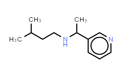 1019549-81-5 | (3-methylbutyl)[1-(pyridin-3-yl)ethyl]amine