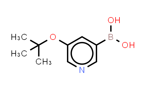 2096330-88-8 | [5-(tert-butoxy)pyridin-3-yl]boronic acid