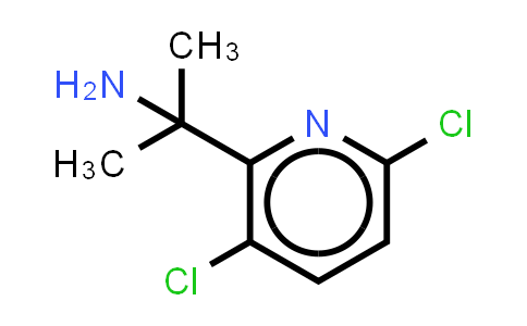 1704100-34-4 | 2-(3,6-dichloro-2-pyridyl)propan-2-amine