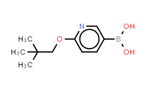 1028748-91-5 | 6-(neopentyloxy)pyridine-3-boronic acid