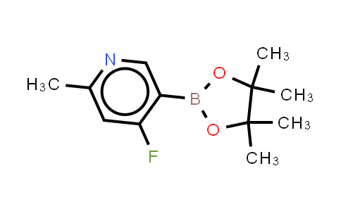 2223047-96-7 | 4-fluoro-2-methyl-5-(4,4,5,5-tetramethyl-1,3,2-dioxaborolan-2-yl)pyridine